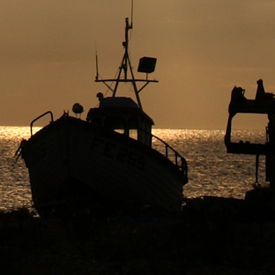 approximate detail of poster at actual size