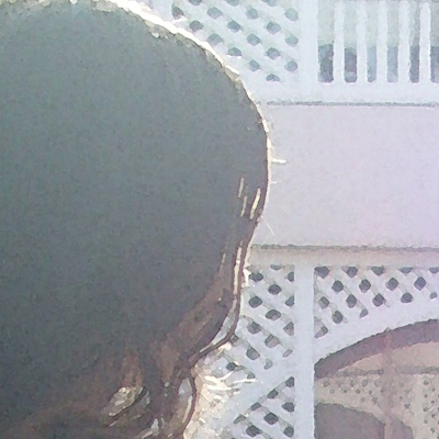 approximate detail of poster at actual size