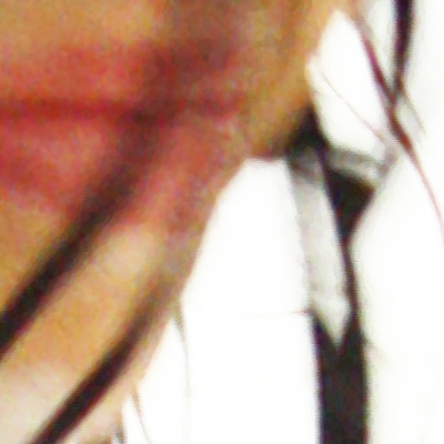 approximate detail of poster at actual size