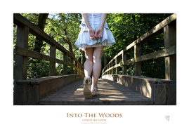 preview of poster prints of art photography available from Photobox at www.photoboxgallery.com/thinctanc