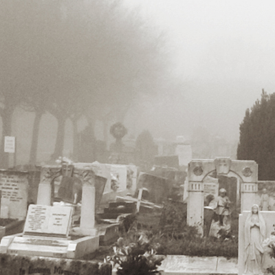 approximate detail of poster at actual size