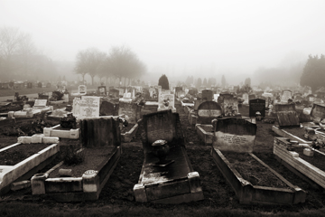 Graveyard in the morning mist