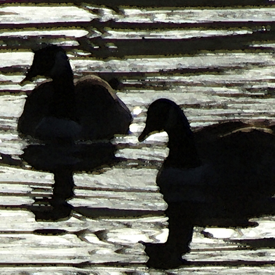 approximate detail of poster at actual size