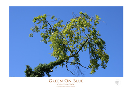 preview of poster prints of art photography available from Photobox at www.photoboxgallery.com/thinctanc