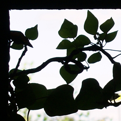 approximate detail of poster at actual size