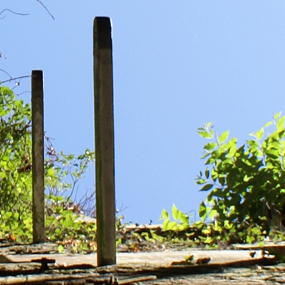 approximate detail of poster at actual size