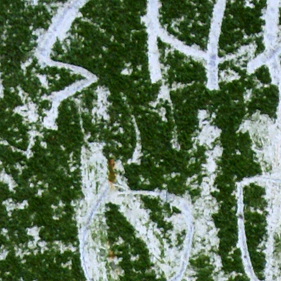 approximate detail of poster at actual size