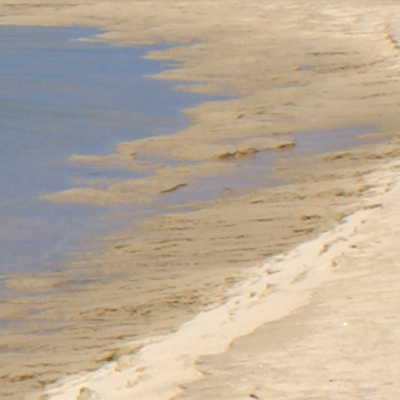 approximate detail of poster at actual size