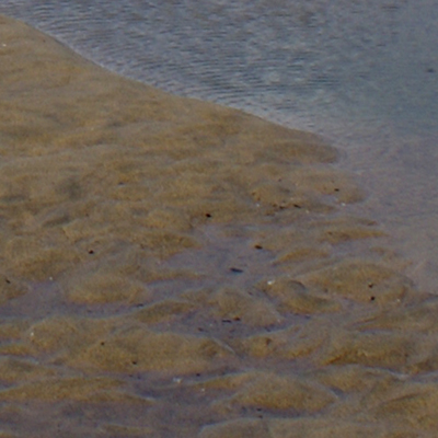 approximate detail of poster at actual size