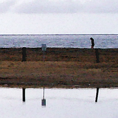 approximate detail of poster at actual size