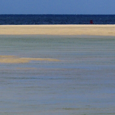 approximate detail of poster at actual size