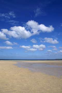 Hayle Estuary