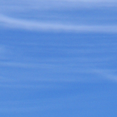 approximate detail of poster at actual size