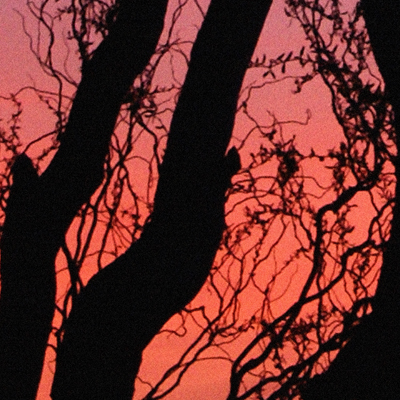 approximate detail of poster at actual size