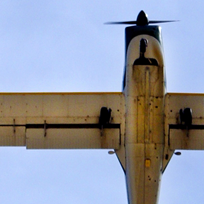 approximate detail of poster at actual size