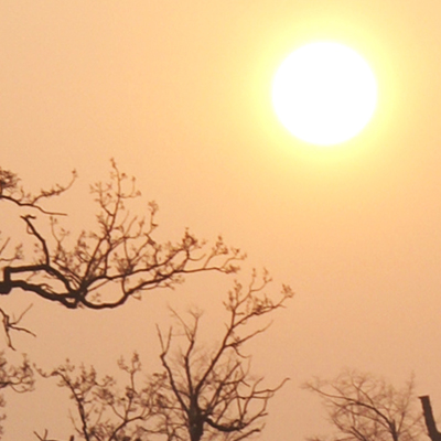 approximate detail of poster at actual size