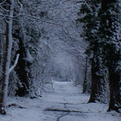 approximate detail of poster at actual size