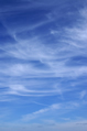 Cirrus clouds