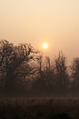 Sun shining through the mist on a winter dawn