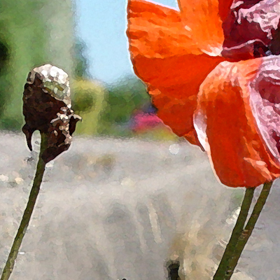 approximate detail of poster at actual size