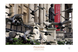 preview of poster prints of art photography available from Photobox at www.photoboxgallery.com/thinctanc