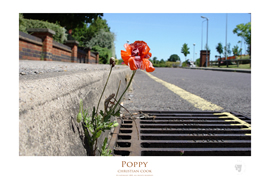 preview of poster prints of art photography available from Photobox at www.photoboxgallery.com/thinctanc